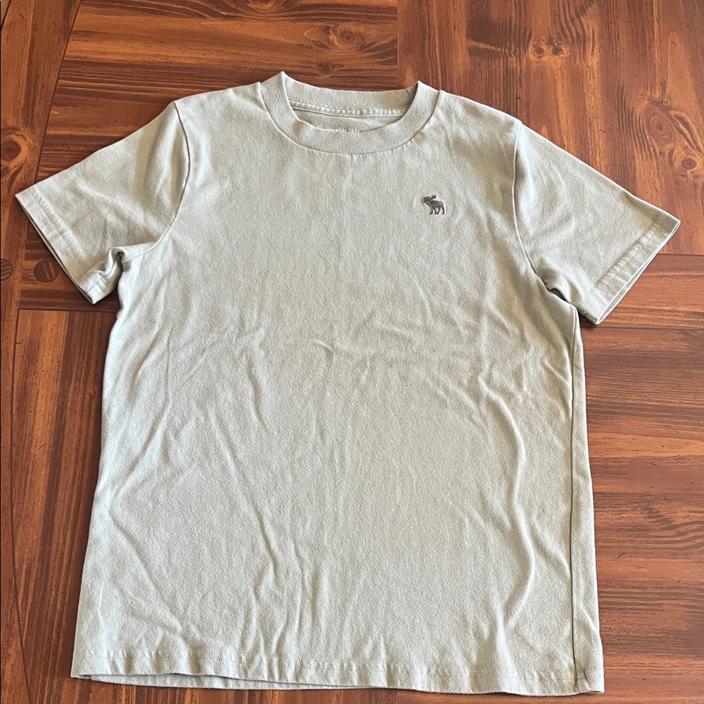 Abercrombie & Fitch Light Sage Crew Neck Tee